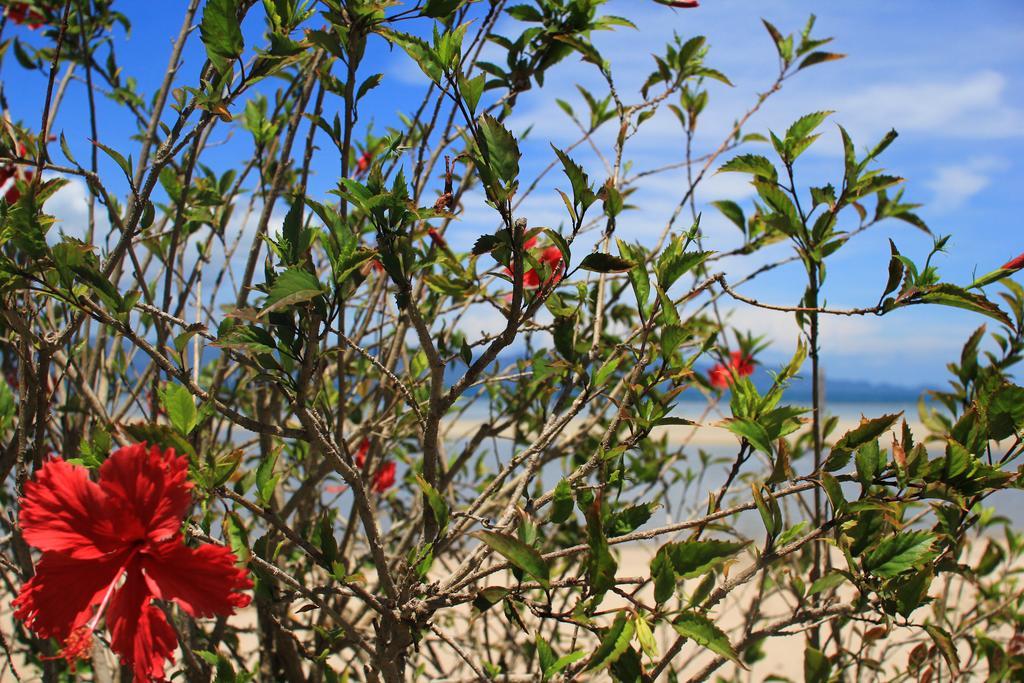 Morning Star Resort Baan Tai Bagian luar foto